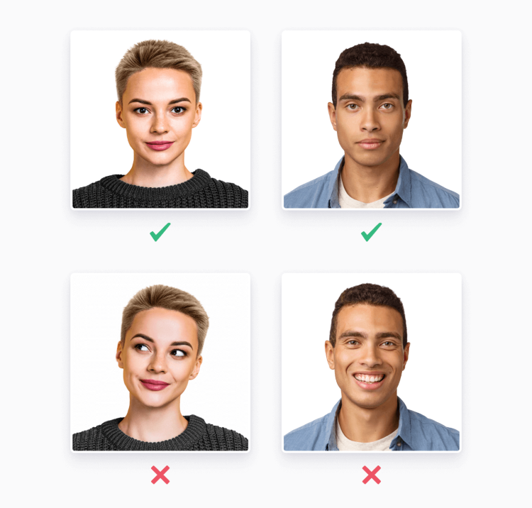 Biometric photo example